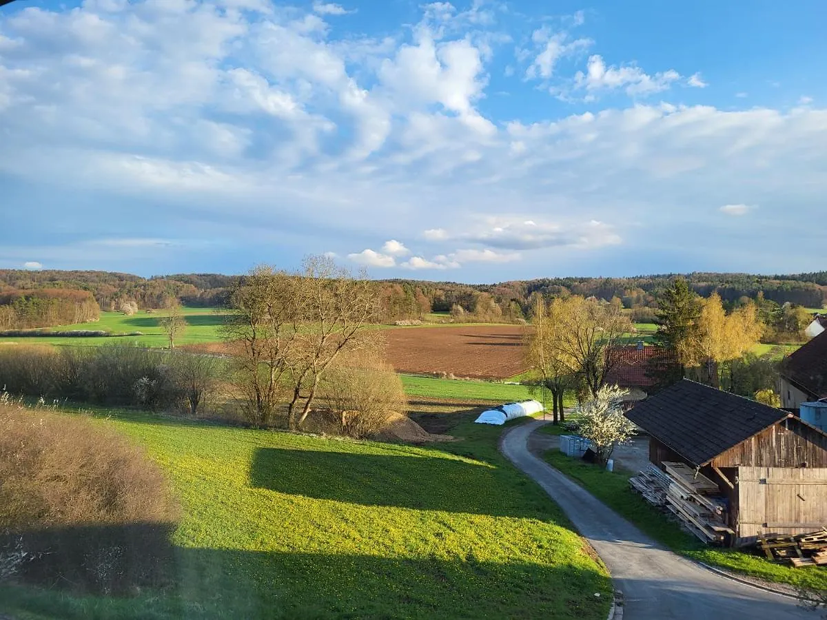 Guest house Pension Am Wald Goessweinstein